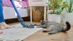 5 tipů, které vám pomohou udržet pořádek v domácnosti bez velké námahy