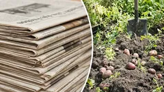 Je čas se připravit: jak využít staré noviny na zahradě i na pozemku – jsou užitečné