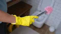 Jak často je třeba měnit kartáč na toaletu: názory odborníků se liší