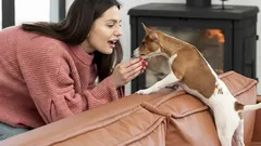 Proč byste měli před odchodem z domu pohladit psa: rada pro všechny majitele