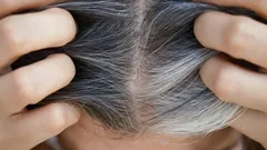 Šedivé vlasy a mladistvý vzhled: techniky barvení, které omlazují