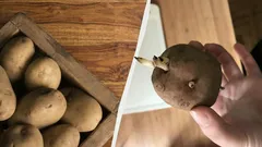 Brambory nevyklíčí ani nescvrknou po dobu šesti měsíců – tady je, jak je správně skladovat