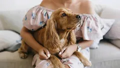 Psi milují hlouběji, než si myslíte: znamení, která řeknou víc než tisíc slov