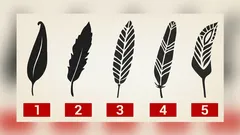 To, které pírko si vyberete jako první, prozradí o vaší osobnosti víc než psycholog