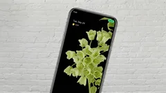 Na displeji telefonu se najednou rozsvítila zelená tečka: je třeba se znepokojovat?