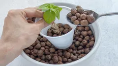 Jak udělat správnou drenáž bez keramzitu: levný způsob od zkušených pěstitelů