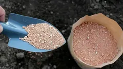 Rady zahrádkářů: tento přírodní prášek zbaví škůdců a udělá půdu ideální